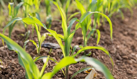 �������ڹ���Ҫ�c����Щ��