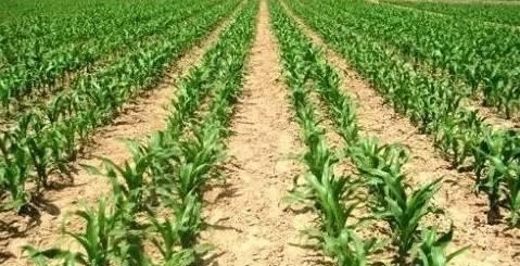 ����������Ҫ���x�������η�����