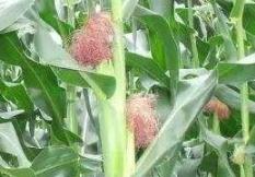 �������ڹ�����Ҫע����Щ����