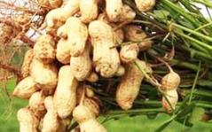 �ļ���������ע���@���c�������Y(ji��)����a(ch��n)����