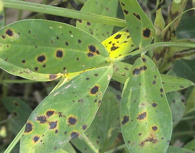 �������ڡ����~������Ҫ