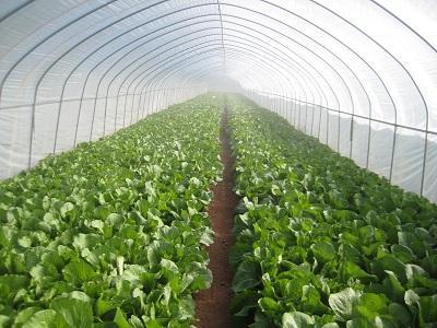 ����ߜ�Σ������Щ���ļ����ｵ����Ч��ʩ��ʲô��