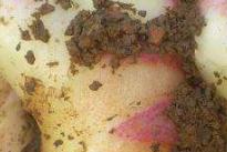 �ļ������Ĺ����������ļ������������gҪ�c