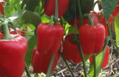 ����ô�����ĝ�ˮ���𽷿ƌW(xu��)���흲ˮ����