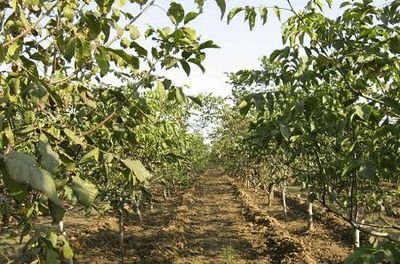 ���Ҙ䲻�Y(ji��)����ʲôԭ����ɵ���