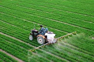 2019��С���Nֲ�r�g��С�����Nע����헣�