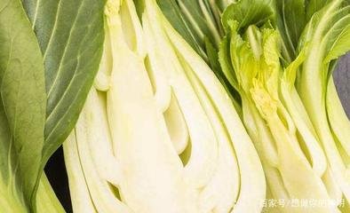 С�ײ����ӷNֲ��С�ײ˸߮a(ch��n)�Nֲ����