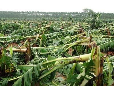 �������R���_�L�^��ӏ��߲����a�������gָ����Ҋ