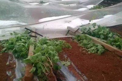 �_(t��i)�L(f��ng)��������ш@�֏�(f��)���a(ch��n)���g(sh��)ָ��(d��o)��Ҋ(ji��n)