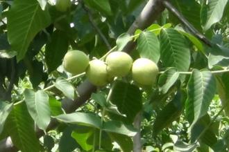 ���Ҙ䲻�޽��ܲ��ܽY���أ�