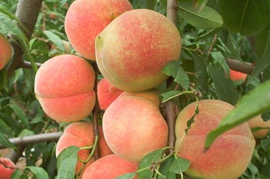 �Ҙ�䲻�Y(ji��)����զ���£�