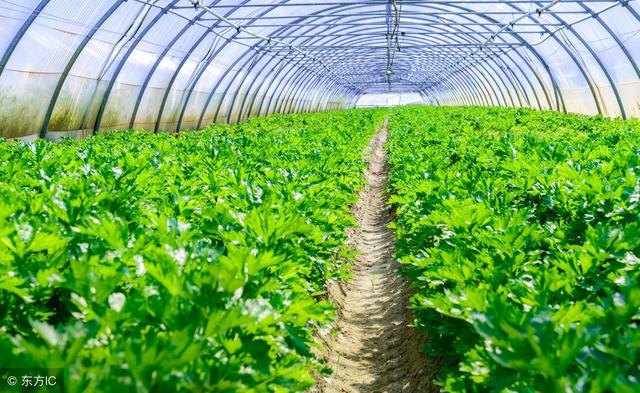 �o�����߲�ʩ��ԭ�t����