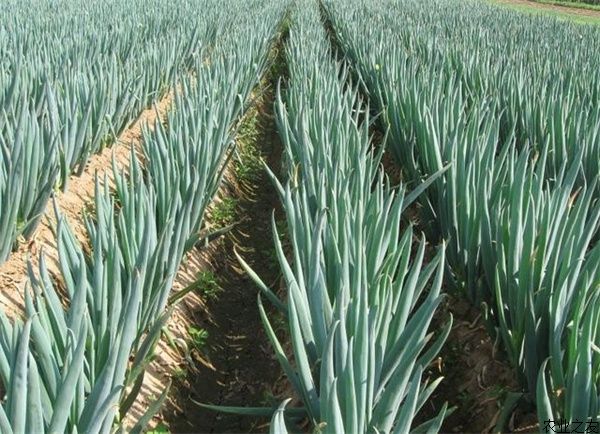 �＾���[��ô������