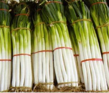 �����ߴ��[�[���L���[�״��أ�