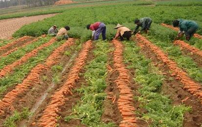 �}��ʩ��Ҫ��Ҏ�Ɂ�