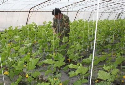 ���������S��ʩ��ע�����(xi��ng)