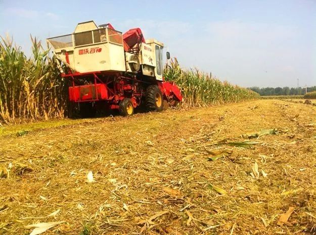 ���׽ն�߀���ɶ߀Ҫ�����أ�����K�������ˣ�