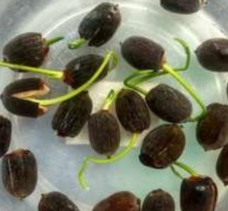 ˯ɏ�N����ô�N��˯ɏ�N�ӷN�ӷ����͕r�g