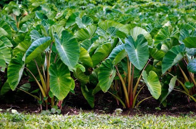 ���^�߮a���g����Ҫ�c����Щ��