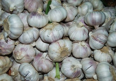 ������ι������ܸ߮a������߮a�������g��