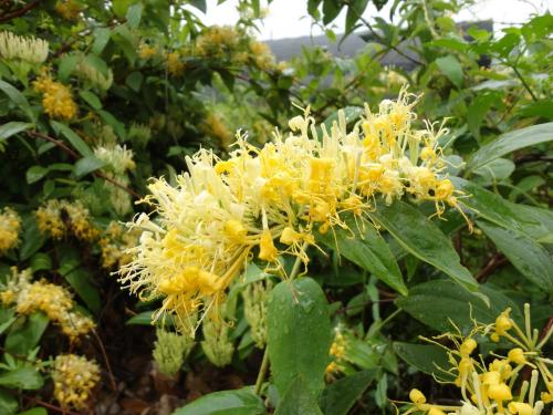 ���y���cɽ�y����ʲô�^(q��)�e��