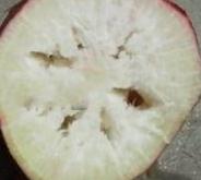 �}��������ʲôԭ���µģ��}����������Щ���δ�ʩ��