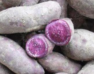 ������ηNֲ�������Nֲ������ע����헣�