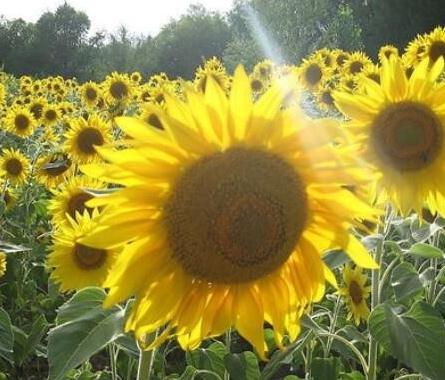 ���տ���ô�N�����տ��߮a�������g����Щ��