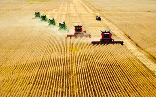 �󶹷Nֲ�����߮a����