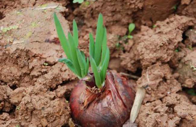 ���[�Nֲ��߮a,�Nֲ��������Ҫ�����[�Nֲ���gҪ�c