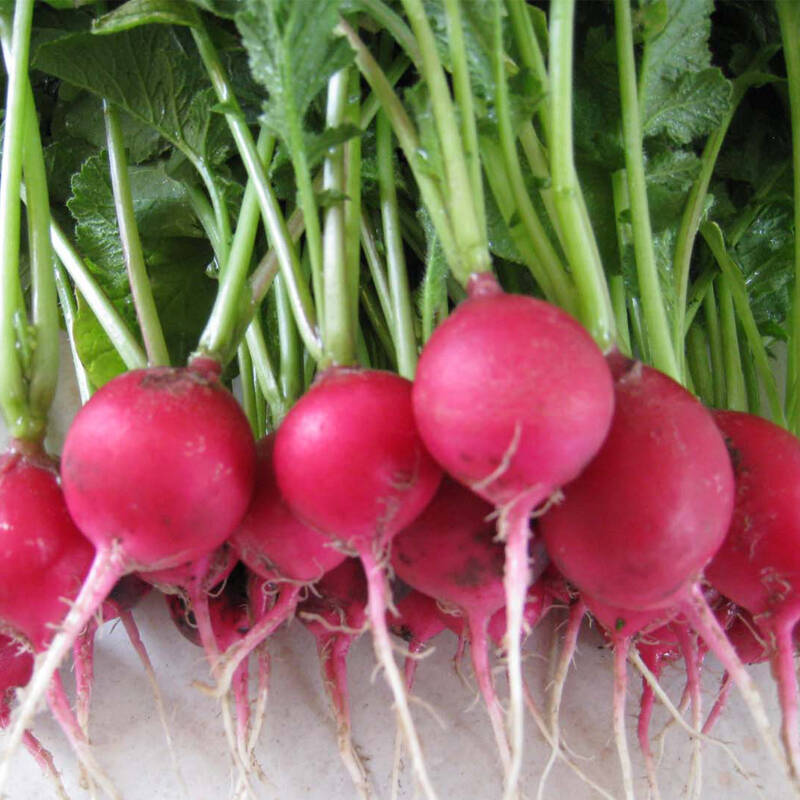 �����}��ʲô�r(sh��)�g�Nֲ��