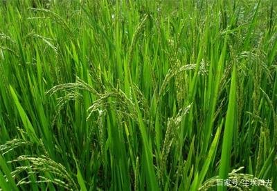 ˮ��Ҫ�߮a������ʩ�ʲź�����