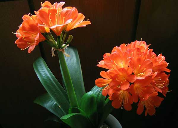 �����m����B(y��ng)�������m�����༼�g(sh��)