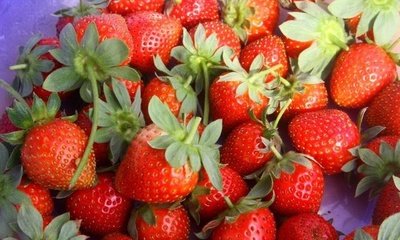 ��ݮ����ʩ�ʸ��߮a(ch��n)��