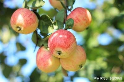 �＾�O�����ի@��ʩ�ʼ��gҪ�c��