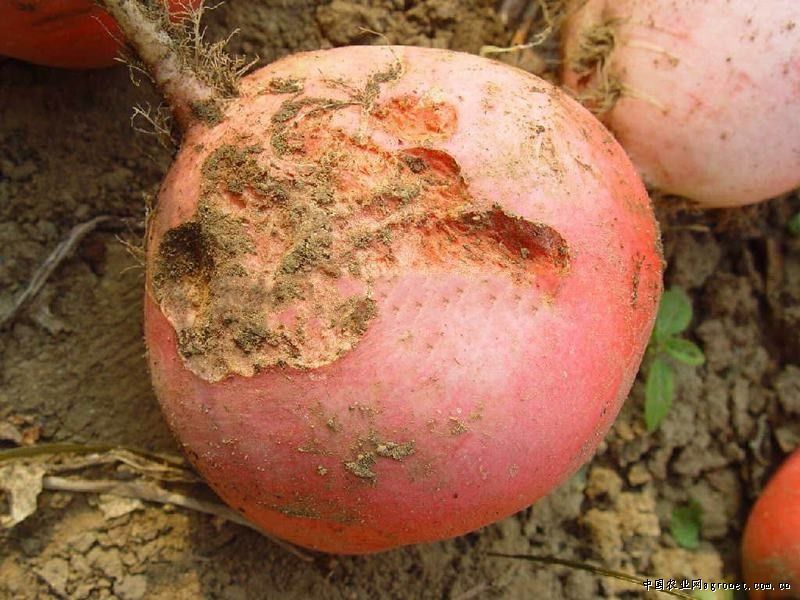 �}�����x���ķ���c����