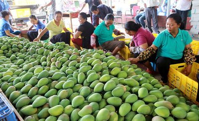 â����ô�N�źã�â���߮a(ch��n)�Nֲ���ɣ�