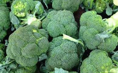 ���m���Nֲ��������Щ�����m���Nֲע����헣�