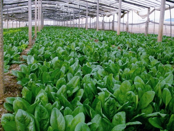 ����ˮ�ʹ�������������ס���˲��ܸ߮a��