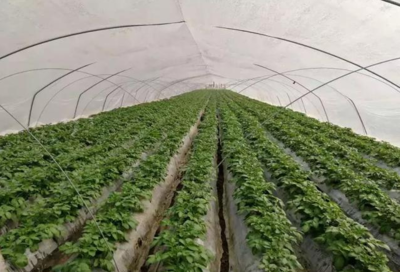 �������y���x����ô�Σ��㲻֪���ҁ����㣡