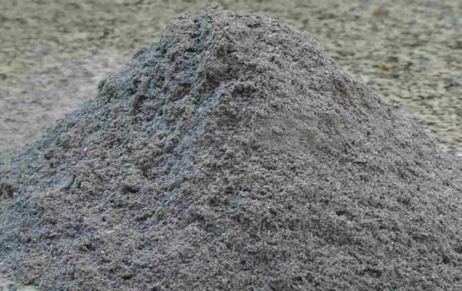 ��ľ���@ô����;���Ȼ߀��֪����