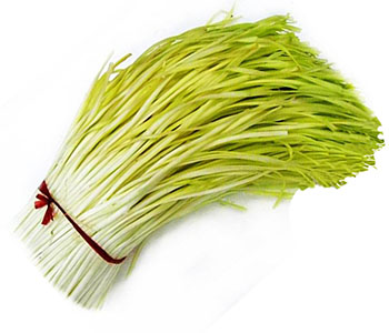 ���Sһ����ʲô�r�g���N�����S�ķNֲ��������Щ��