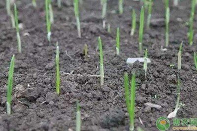 �@�׏�ԭ��֪�������������S��������