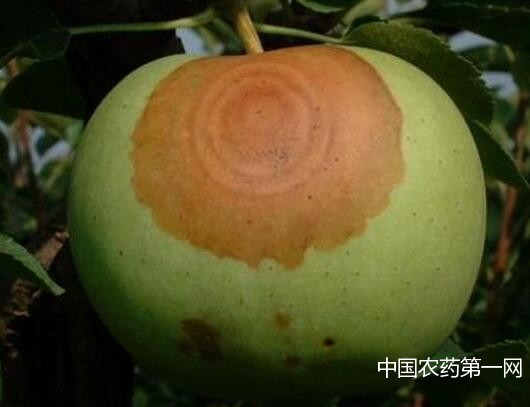 �O(p��ng)��������ԓ���ӷ��Σ�