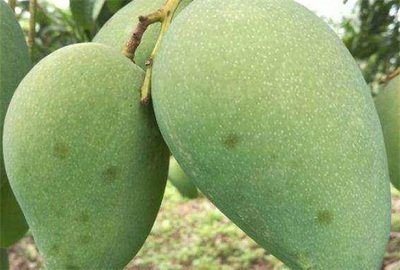 â��¶ˮ�߶���ʲô�Y�â��¶ˮ�ߵķ��η���