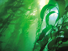 �������ʲô���������a��ˇ��