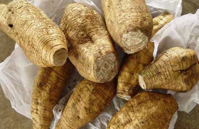 ����ķNֲǰ����ô�ӣ�����ķNֲ���g����Щ��