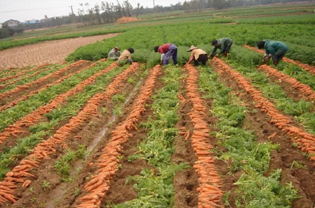 ���}��ʲô�r�����磿���}������߮a���gҪ�c��