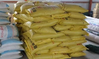 ���@�Ј����ڃ��Q���̻��^�m�����^��