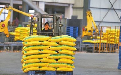 ���؃r(ji��)������^�m(x��)�ϝq